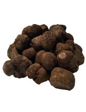 E1012542 - L_TELLIER - Rasoir à truffes et petits légumes inox 18