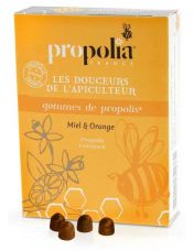 Pollen de Fleurs Bio Nature et Progrès - Apiculture Remuaux - Achat 