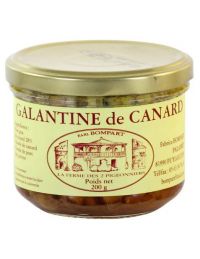 Galantine-de-Canard-foie-gras
