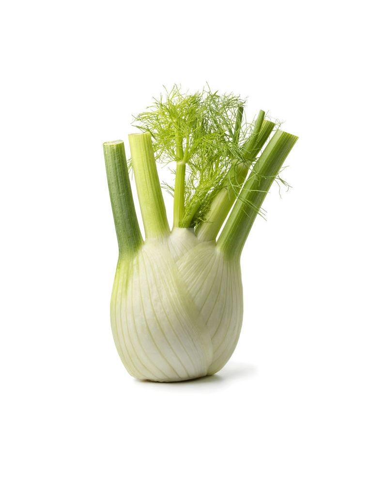 Les légumes insolites – Le Fenouil Biocoop