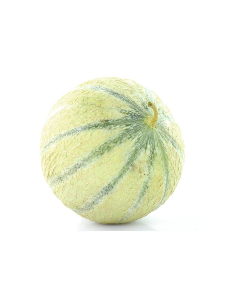 Melon Charentais Bio
