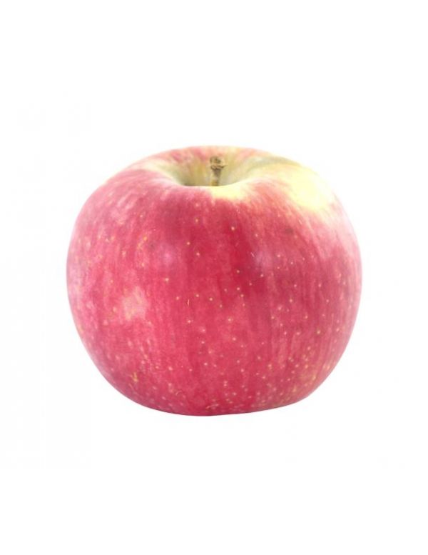 Pomme Cripps Rouge Bio