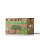 Thé vert menthe - Boîte de 20 sachets - Les Infuthés