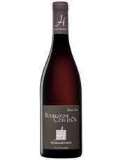 Pinot Noir - Vin Rouge Bio AOC Bourgogne Côte d'Or