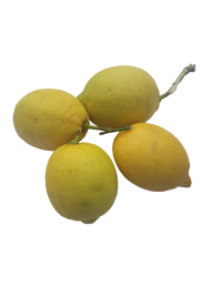 Citron jaune Corse vendu par lot de 4 - Origine France