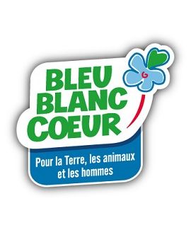 logo bleu blanc coeur