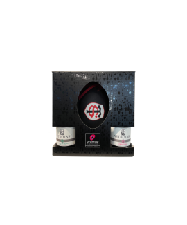 Box du Stade Toulousain
