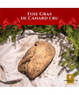Foie Gras de canard frais "Premier Choix"