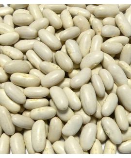 Mogette de Vendée, IGP