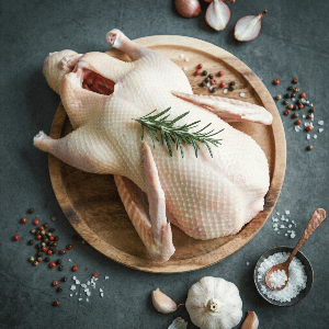 Canard Gras Entier IGP Canard à Foie Gras du Sud-Ouest - Achat / Vente