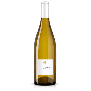 Allegoria blanc sec - vin de France