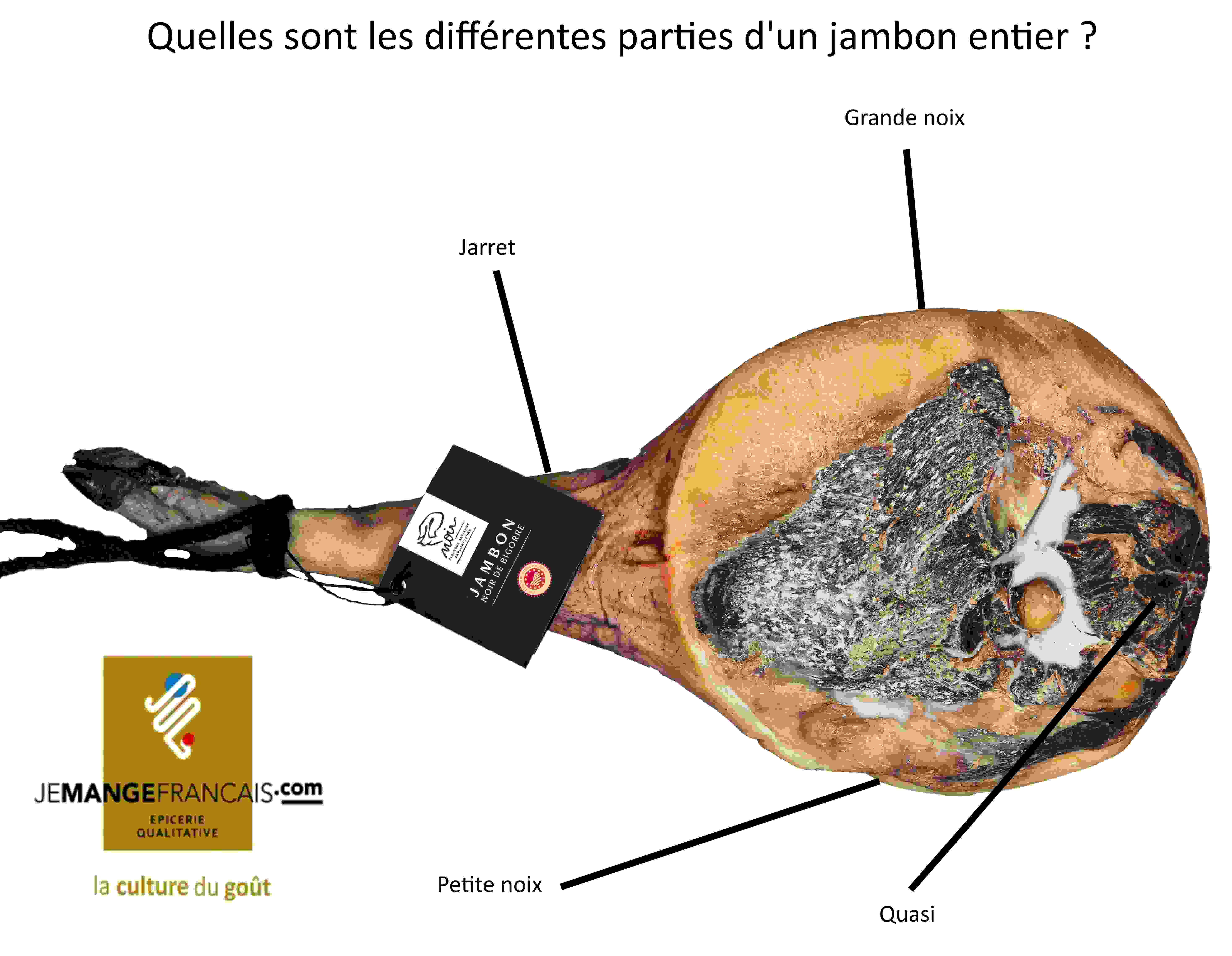 anatomie du jambon ses différentes parties
