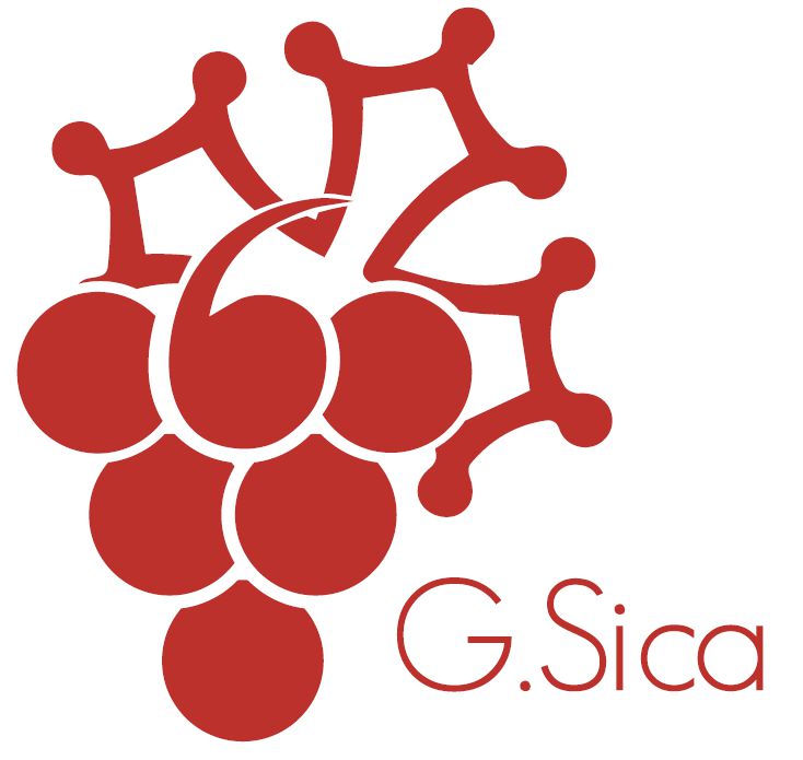 G-SICA